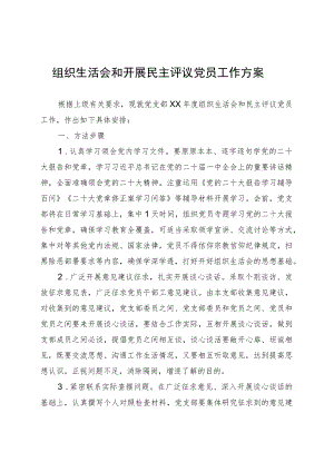 组织生活会和开展民主评议党员工作方案.docx