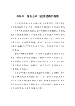 参加审计署企业审计技能提高班有感心得体会.docx