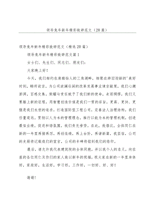 领导兔年新年精彩致辞范文（20篇）.docx