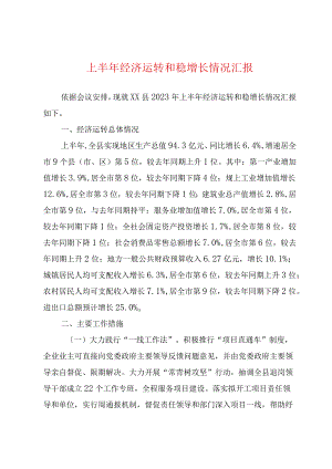 上半年经济运行及稳增长工作汇报.docx