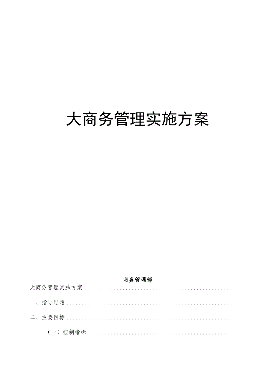 大商务管理实施方案.docx_第1页