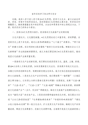 宣传系统学习体会研讨发言.docx