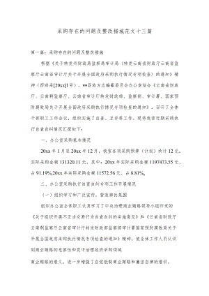 采购存在的问题及整改措施范文十三篇.docx