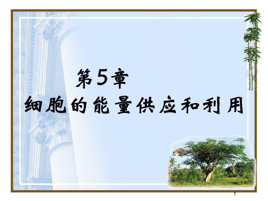 第5章细胞的能量供应和利用名师编辑PPT课件.ppt_第1页