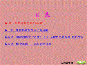 第5章细胞的能量供应和利用.ppt