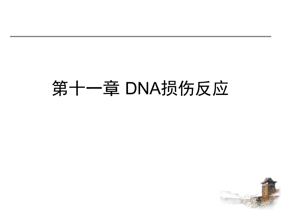 第4章：DNA损伤反应.ppt_第1页