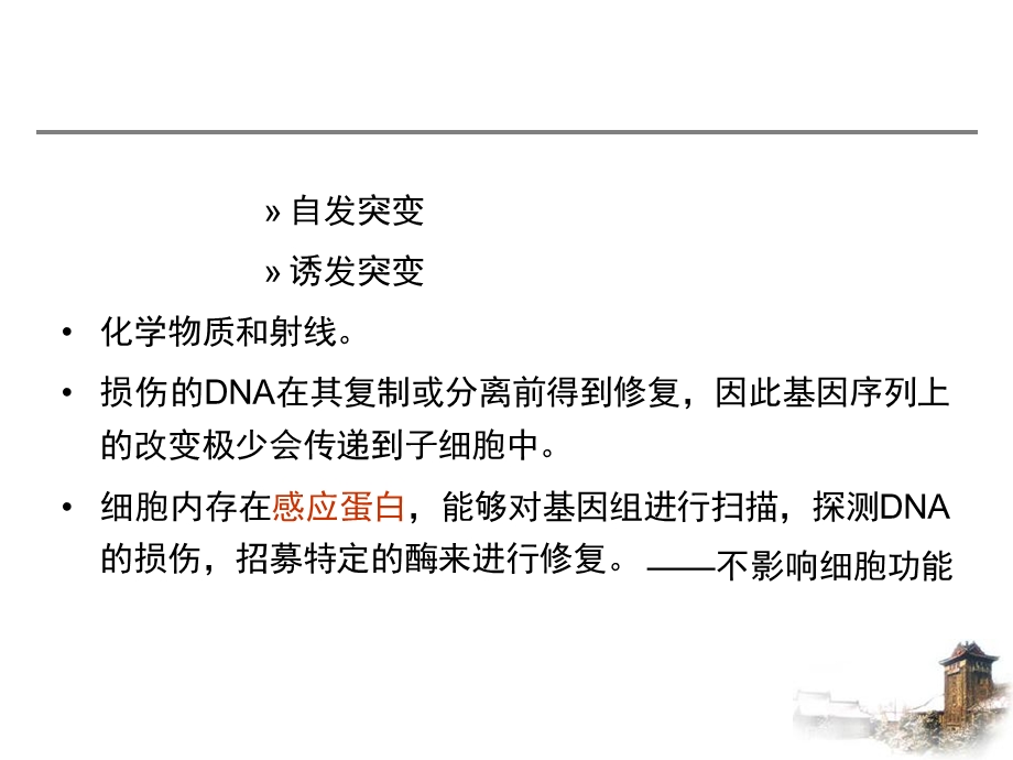 第4章：DNA损伤反应.ppt_第2页