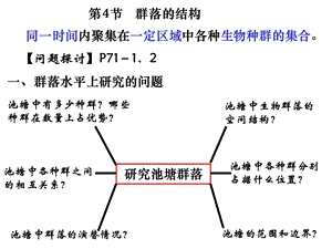 第4节群落的结构及演替.ppt