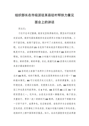 组织部长在市级派驻某县驻村帮扶力量见面会上的讲话.docx