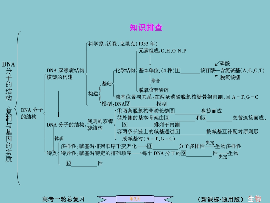 第4节DNA分子的结构、DNA的复制、基因是有遗传效应的DNA片段.ppt_第3页