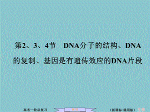 第4节DNA分子的结构、DNA的复制、基因是有遗传效应的DNA片段.ppt