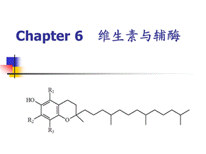 第6章 维生素与辅酶.ppt