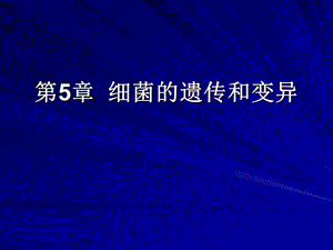 第5章细菌的遗传和变异名师编辑PPT课件.ppt