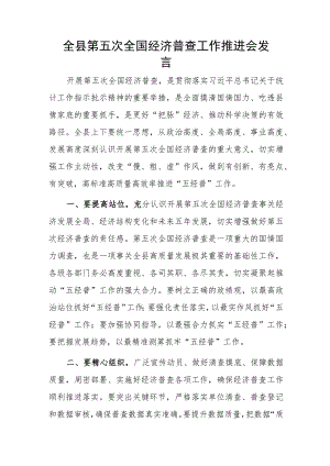 全县第五次全国经济普查工作推进会发言.docx