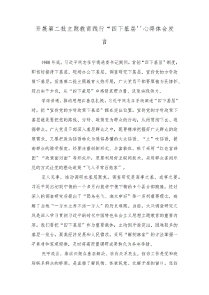 (2篇）2023年开展第二批主题教育践行“四下基层”心得体会发言.docx