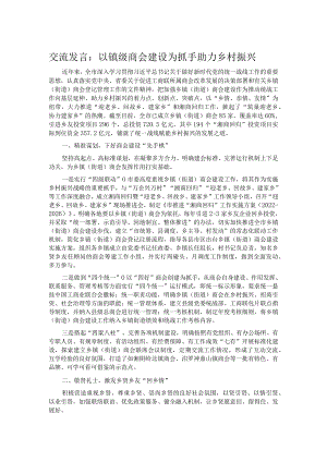 交流发言：以镇级商会建设为抓手 助力乡村振兴.docx