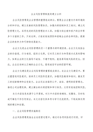 企业风险管理制度的建立分析.docx