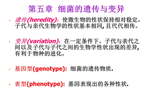 第5章细菌的遗传与变异.ppt