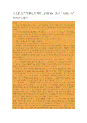 在全校党支部书记培训班上的讲稿：抓好“关键少数”发挥带头作用.docx