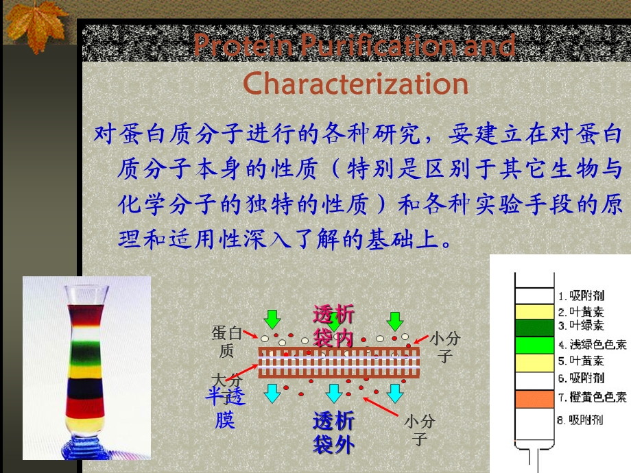 第7章蛋白质的分离、纯化和表征.ppt_第3页