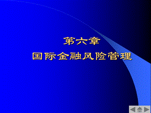 第6章国际金融风险管理.ppt