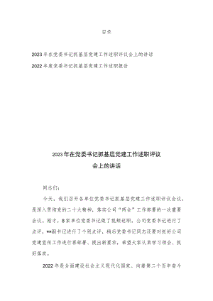 2022-2023年在党委书记抓基层党建工作述职评议会、述职报告上的讲话共2篇.docx