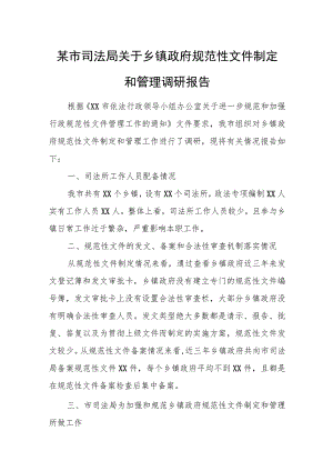 某市司法局关于乡镇政府规范性文件制定和管理调研报告.docx