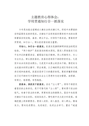 主题教育心得体会：学用贯通知行合一抓落实.docx