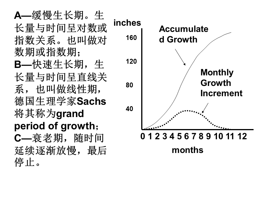 第8章植物生长2.ppt_第3页