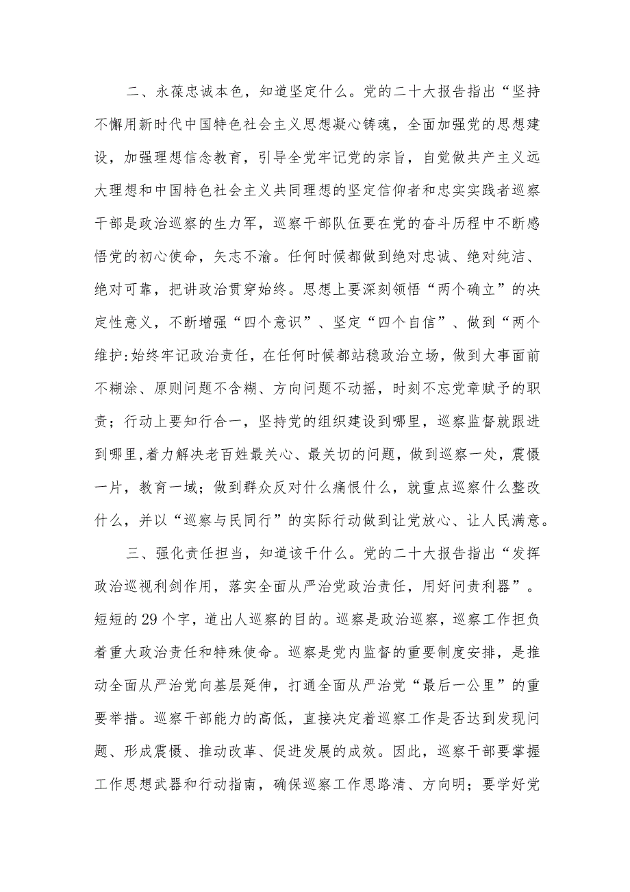 巡察干部学习党的二十大精神研讨交流发言心得体会感想4篇.docx_第3页