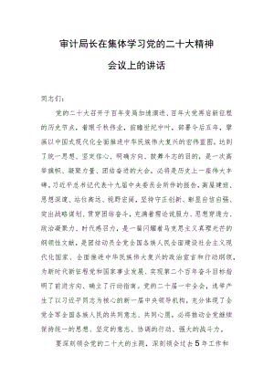 审计局长在集体学习党的二十大精神会议上的讲话.docx