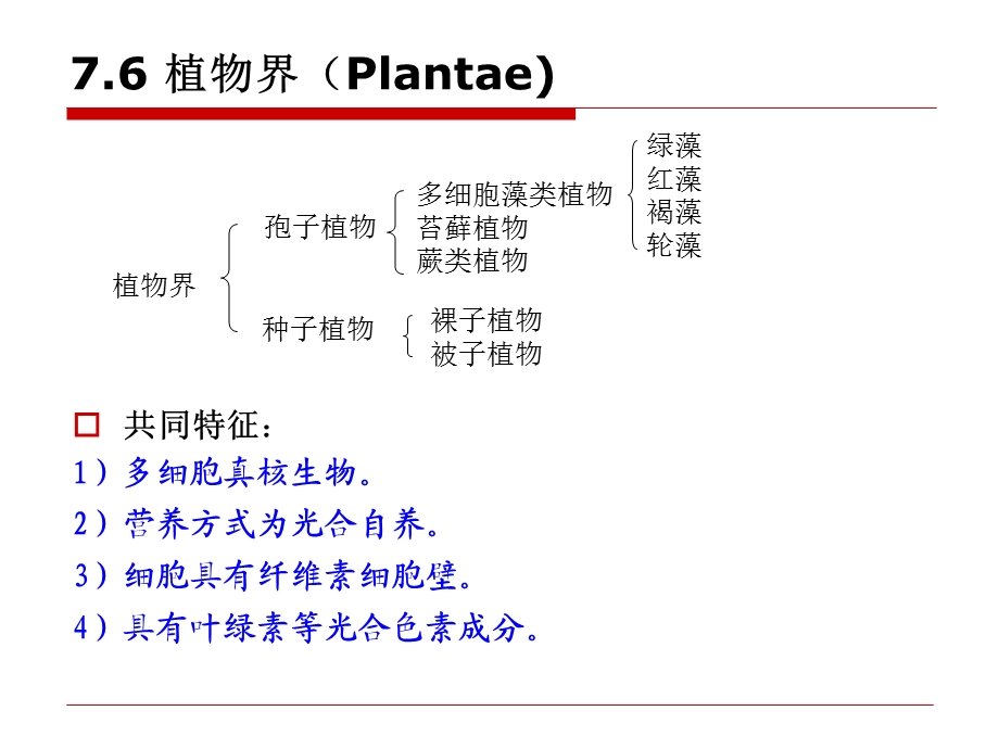 第7章76植物界.ppt_第2页