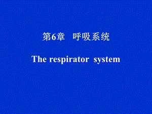 第6章呼吸系统Therespiratorsystem名师编辑PPT课件.ppt