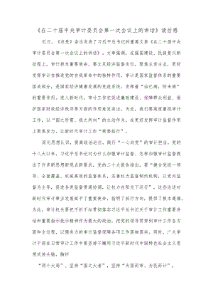 《在二十届中央审计委员会第一次会议上的讲话》读后感.docx