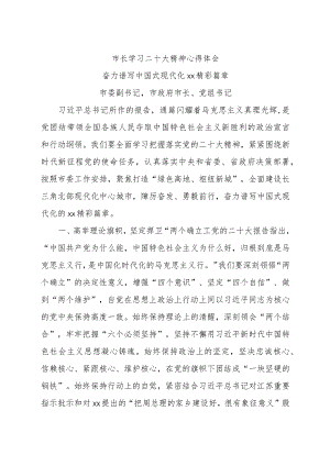 市长学习二十大精神心得体会.docx