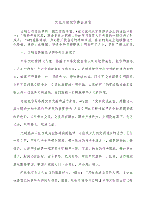 文化开放包容体会发言.docx