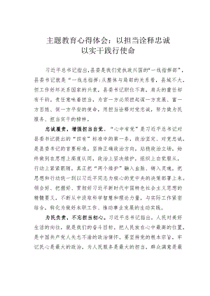 主题教育心得体会：以担当诠释忠诚以实干践行使命.docx