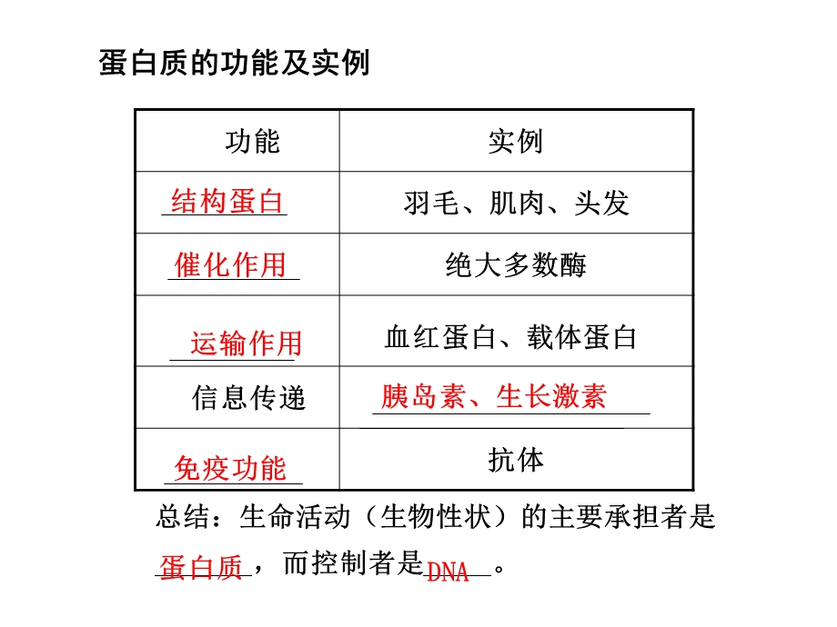 第3课时蛋白质.ppt_第3页