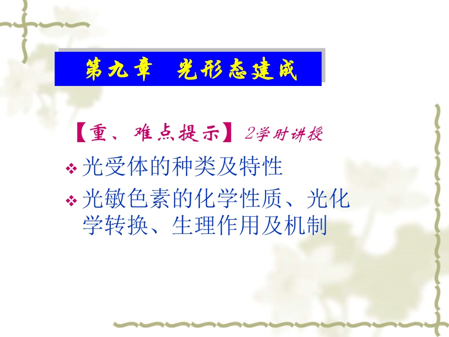 第7章光形态建成.ppt_第1页