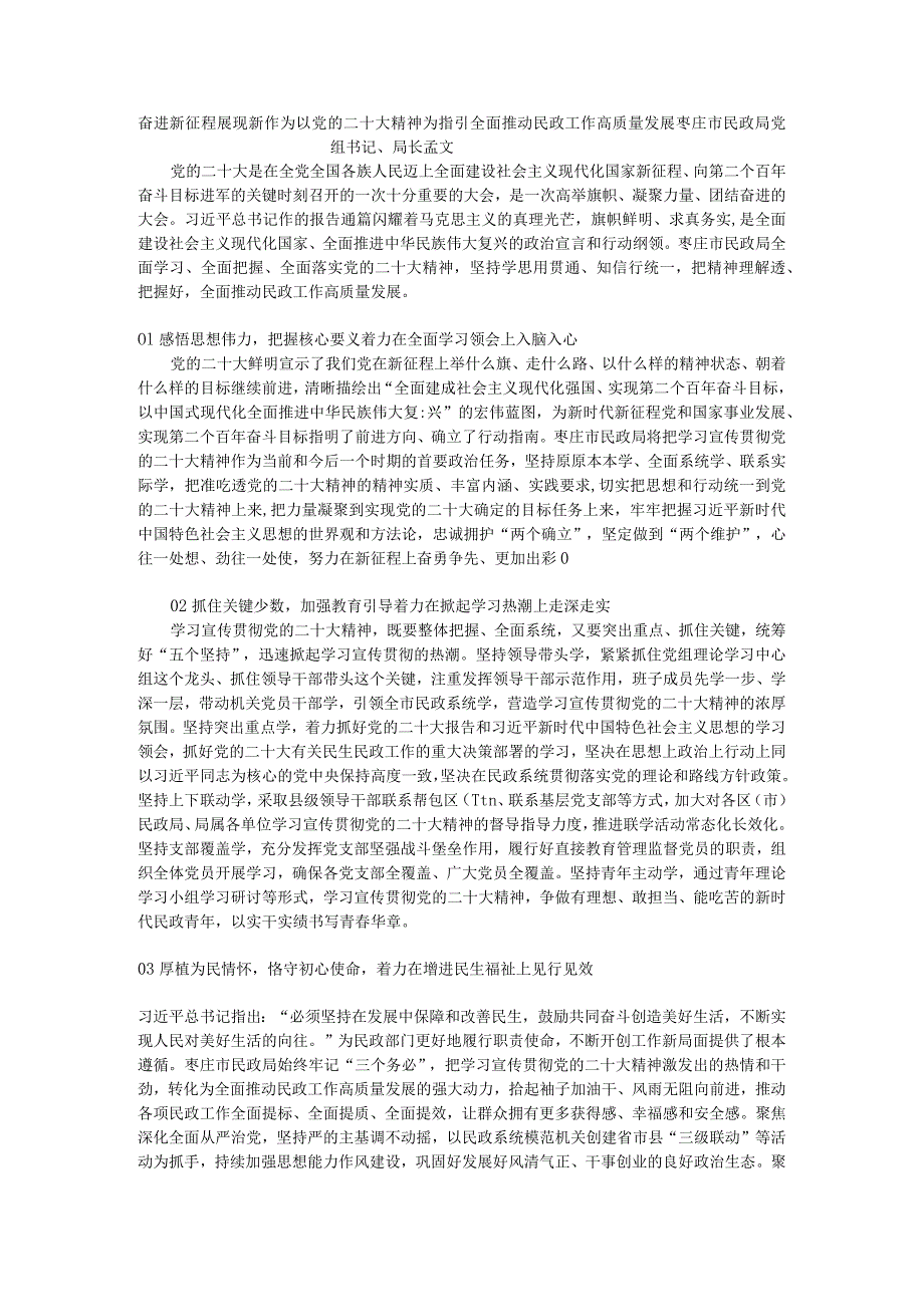 以党的二十大精神为指引全面推动民政工作高质量发展-奋进新征程 展现新作为.docx_第1页