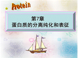 第7章蛋白质的分离纯化和表征ppt课件名师编辑PPT课件.ppt