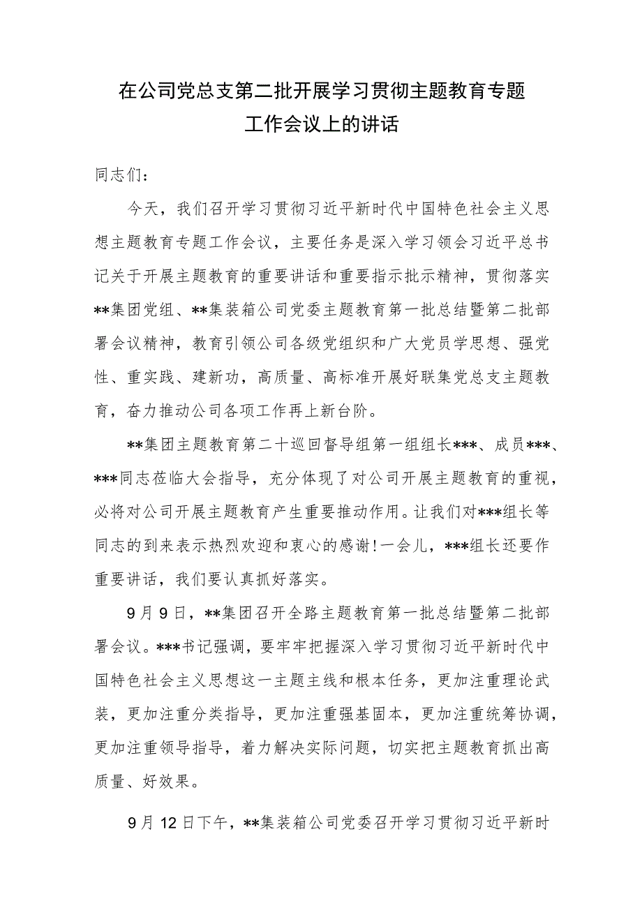 在公司党总支第二批开展学习贯彻主题教育专题工作会议上的讲话.docx_第1页