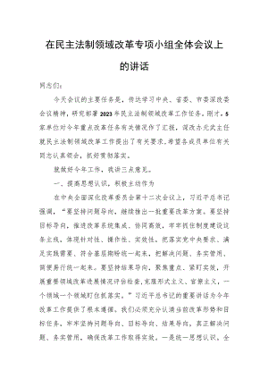 在民主法制领域改革专项小组全体会议上的讲话.docx