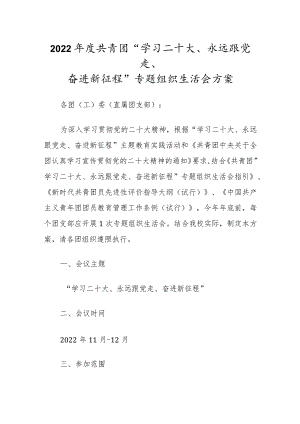 2022年度共青团“学习二十大、永远跟党走、奋进新征程”专题组织生活会方案.docx