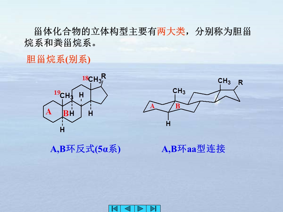 第7章甾体类化合物含甾体皂苷和强心苷.ppt_第3页