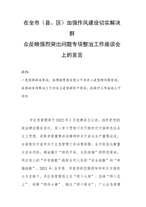 在全市(县、区)加强作风建设切实解决群众反映强烈突出问题专项整治工作座谈会上的发言.docx