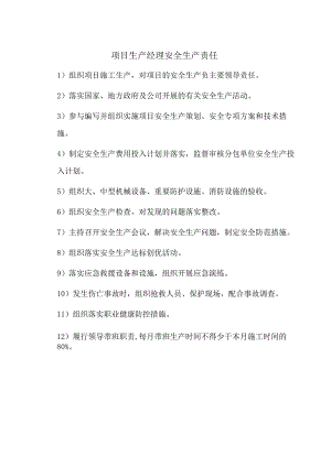 项目生产经理安全生产责任.docx