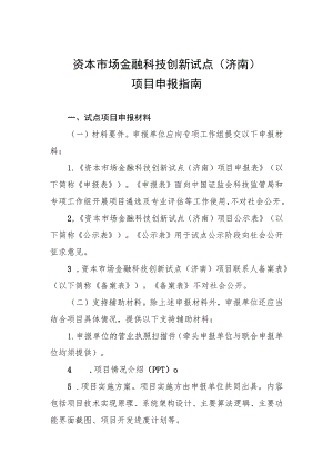 资本市场金融科技创新试点济南项目申报指南.docx