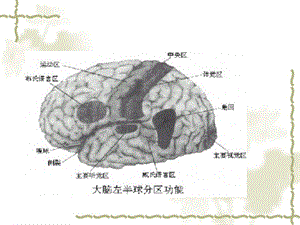 第一章记忆与遗忘.ppt