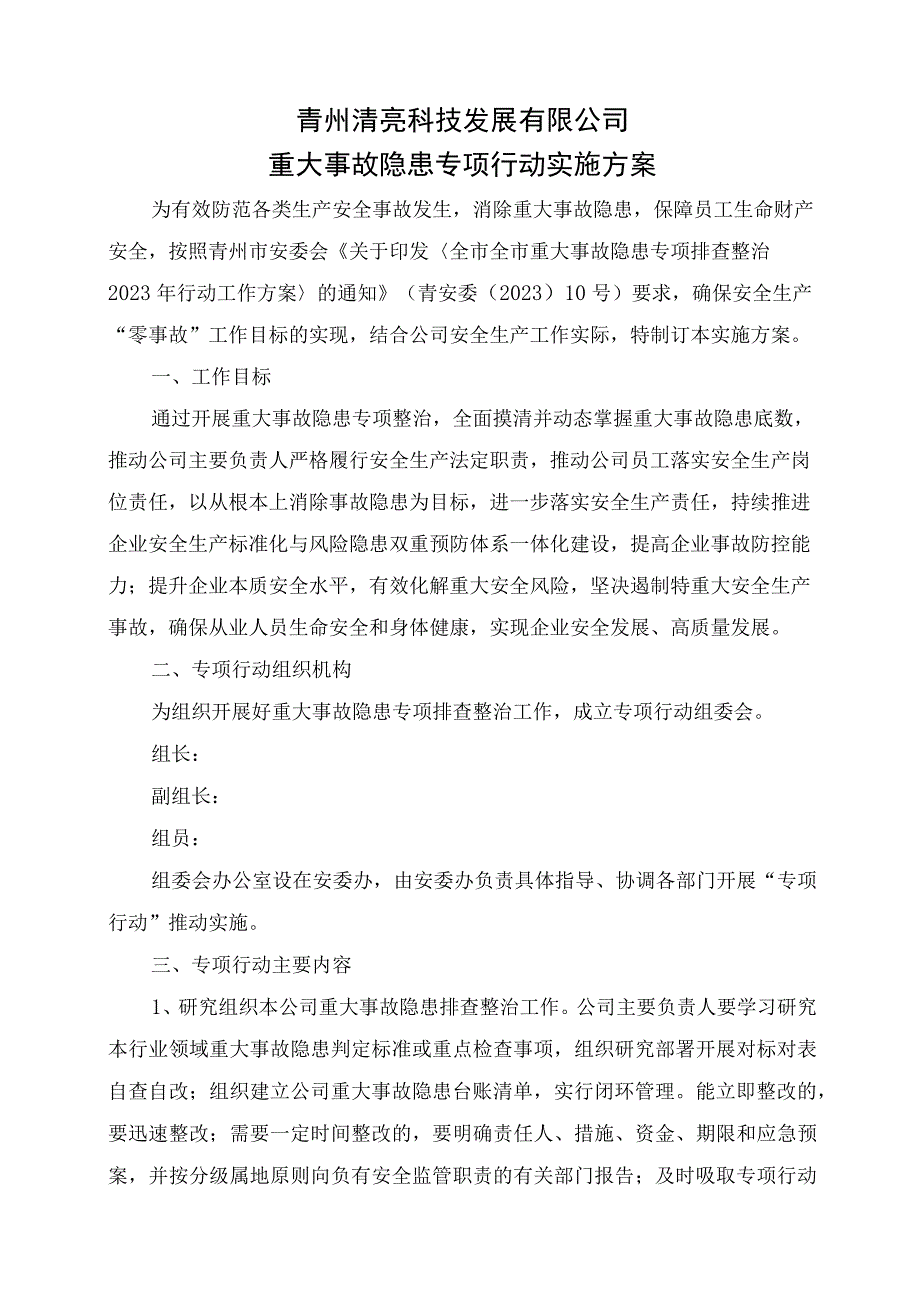 重大事故隐患专项行动实施方案.docx_第1页